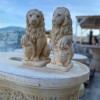 Statua  Leone Fiesole OCCHI AZZURRI prezzo a coppia 17*40